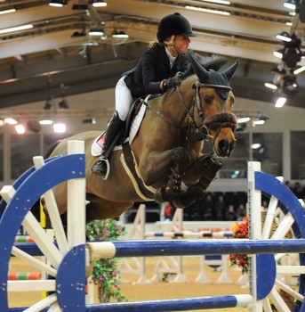 PONY OF THE YEAR SHOW 2019 PONY OF THE YEAR SHOW 2019